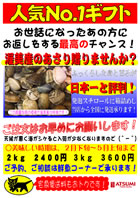 人気No.1ギフト「渥美産あさり」ご予約承り中!