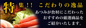 ���W�I�I�������̈�i