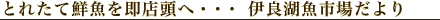�ɗǌΎs�ꂾ���