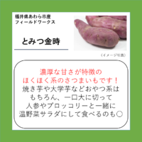 とみつ金時
