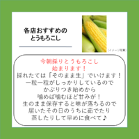 各店おすすめのとうもろこし