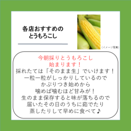 各店おすすめのとうもろこし