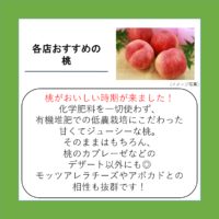 各店おすすめの桃
