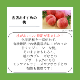 各店おすすめの桃