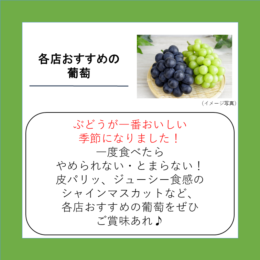 各店おすすめの葡萄