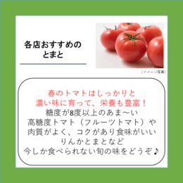 各店おすすめのとまと