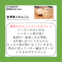 金澤美人れんこん