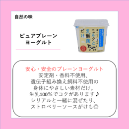 ピュアプレーンヨーグルト
