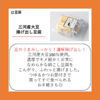 三河産大豆 揚げ出し豆腐