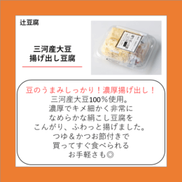 三河産大豆 揚げ出し豆腐