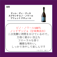 テッレ・ディ・ブース スプマンテ ピノ・ノワール ブリュット ナチュール