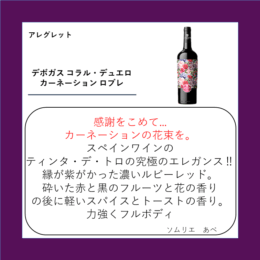 デボガス コラル・デュエロ カーネーション ロブレ