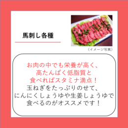馬刺し各種