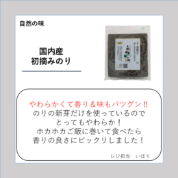 国内産 初摘みのり