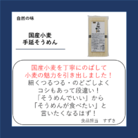 国産小麦 手延そうめん