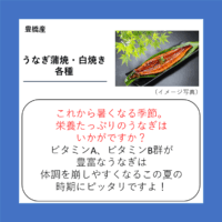 うなぎ蒲焼・白焼き各種